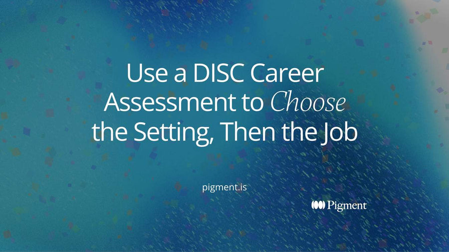 Abstract cover for a DISC career assessment guide: two thin crossing lines divide the canvas into four soft regions of pale circles, with one region picked out in violet