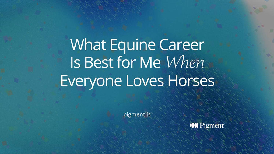 Abstract cover for what equine career is best for me: five pale rounded shapes in a row, one violet shape raised above the rest to show a top-ranked skill