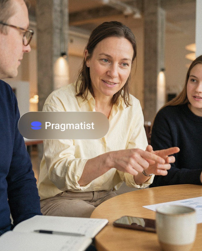 Career Self-Discovery Assessment working-style preview labelling a Pragmatist archetype